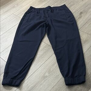 Banana Republic Women's Navy Trousers